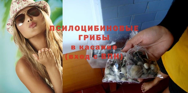 крисы Зеленодольск
