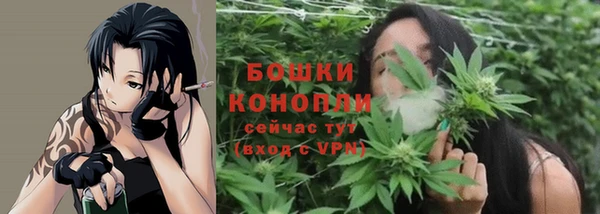 дживик Зерноград