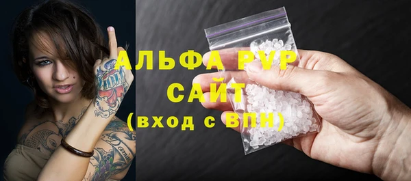 стаф Зеленокумск