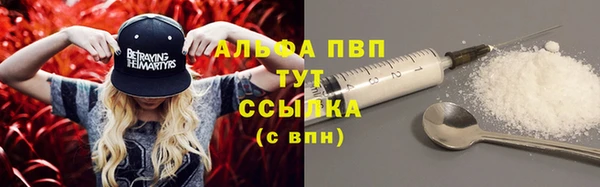 стаф Зеленокумск