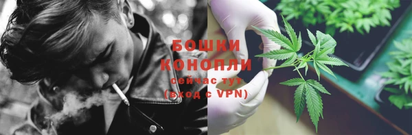 стаф Зеленокумск