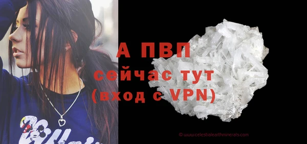 крисы Зеленодольск