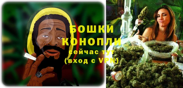 крисы Зеленодольск