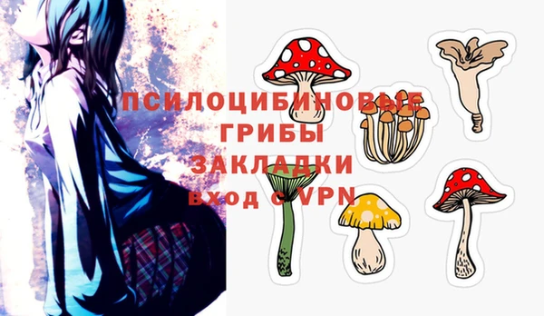 крисы Зеленодольск
