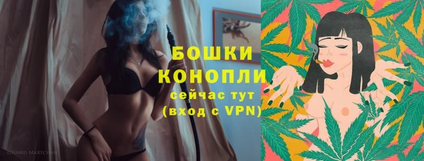 стаф Зеленокумск