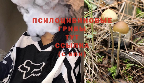 стаф Зеленокумск